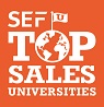 SEF-Sales-Icon