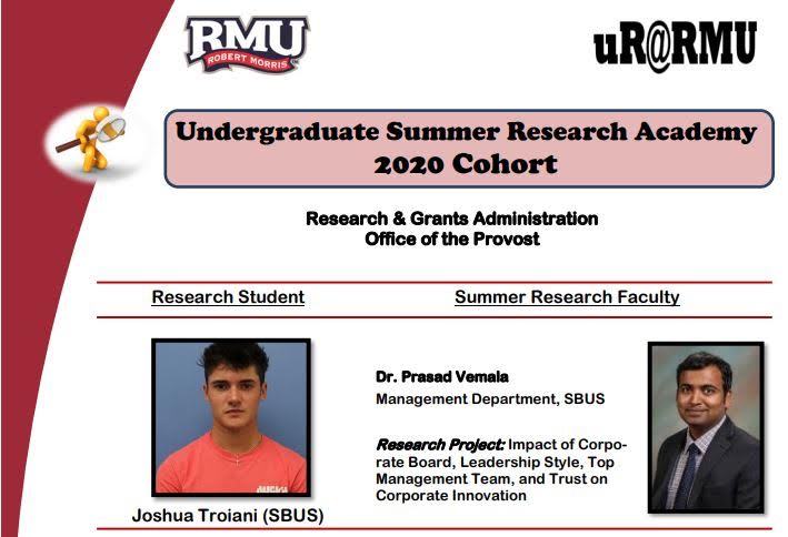 Undergraduate Summer Research Academy